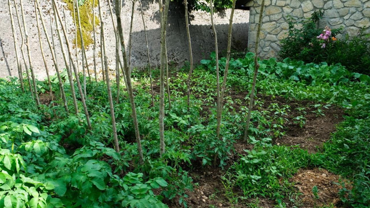 Prevalis Nature Cottage Virpazar Esterno foto