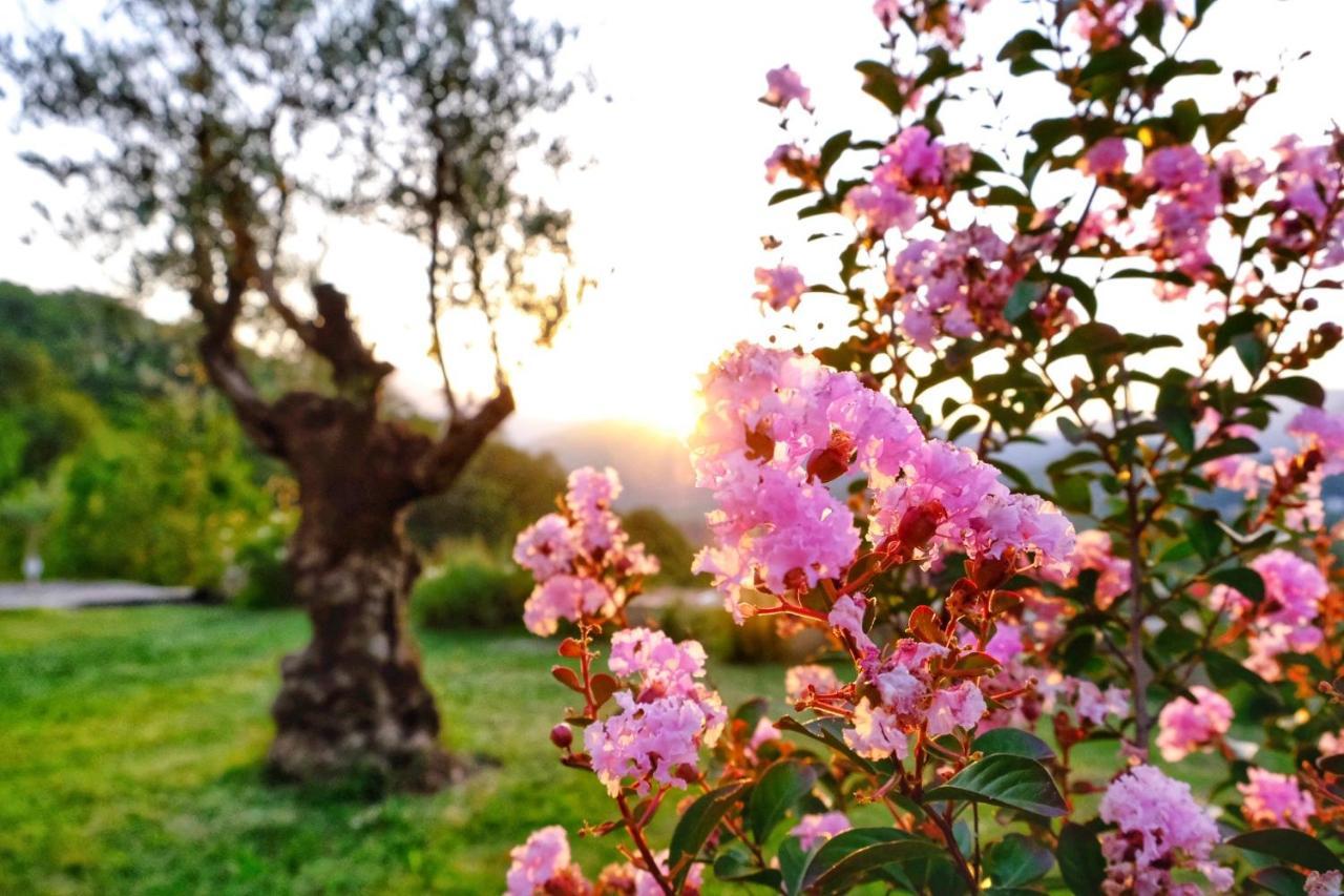 Prevalis Nature Cottage Virpazar Esterno foto